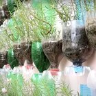 Don't Toss Those Plastic Bottles, They Have A Genius Garden Use