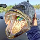 Avoid This Massive Freshwater Fishing Mistake At All Costs