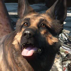 Everyone's Favorite Dogs Throughout Gaming History