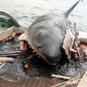 How Steven Spielberg's Jaws Reshaped The Box Office Forever