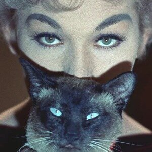 If You Like Witches, These Top Ranked Movies Are For You