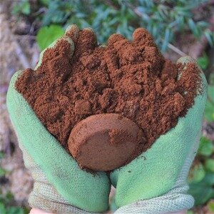 Used Coffee Grounds Are Too Valuable To Throw Away & Here's Why