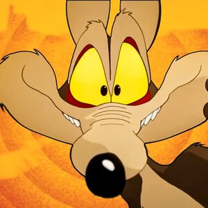 Coyote Vs. Acme: Everything You Need To Know Before Watching