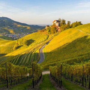 Why This European Country May Not Be Worth Traveling To