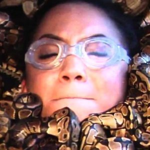 It's Easy To See Why Fear Factor Was Axed