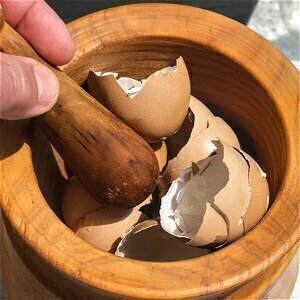 Don't Waste Your Eggshells, And Do This With Them Instead