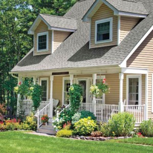 Best Foundation Plants for Stellar Curb Appeal - ZergNet