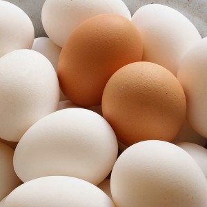 15 Things You Didn't Know About Eggs